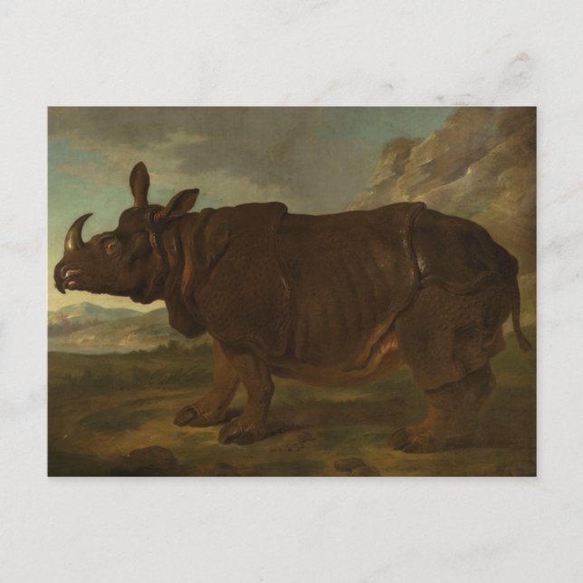 Carte Postale Rhinocéros (Rhinocéros) (Animal sauvage) (par J.B. (Devant)