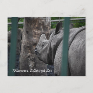 Carte Postale Rhinocéros unicorne supérieur au zoo d'Édimbourg