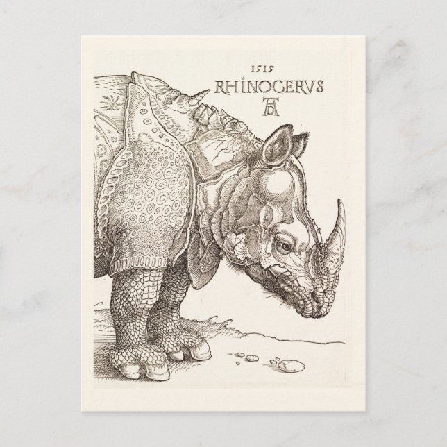 Carte postale Rhinoceros vintage (Devant)