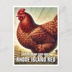 Carte Postale Rhode Island State Bird Rhode Island Red