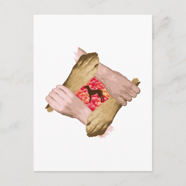 Carte Postale Rhodesian Ridgeback (Devant)