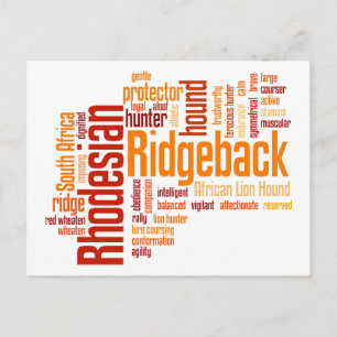 Carte Postale Rhodesian Ridgeback
