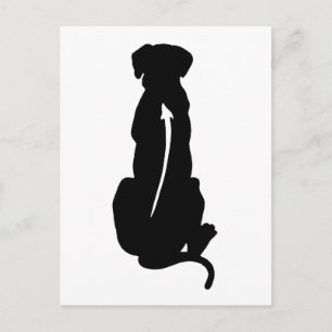 Carte Postale Rhodesian Ridgeback Chien race Spine