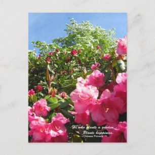 Carte Postale Rhododendron et Dogwood avec proverbe chinois