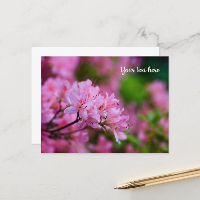Carte postale Rhododendron rose (Devant/Arrière en situation)