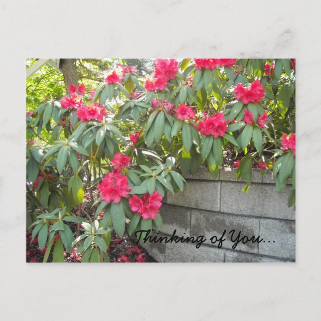 Carte Postale Rhodos rouges - Pensant à vous... (Devant)