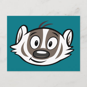 Carte Postale Ricky Raccoon   Visage de Badger Boomer