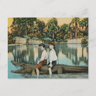 Carte postale Ride'um Gator Funny