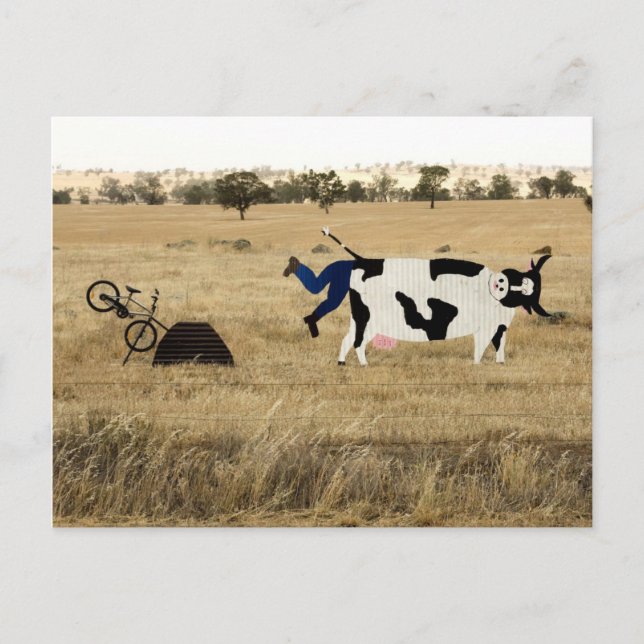 Carte Postale Riding (Devant)