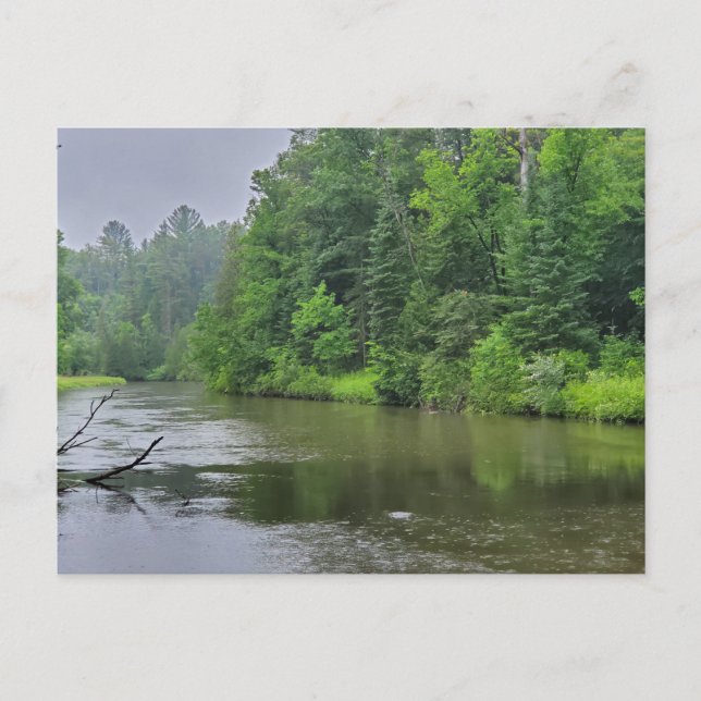 Carte Postale Rifle River, West Branch, Michigan (Devant)