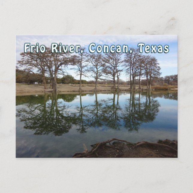 Carte Postale Rio Frio River Concan Texas Garner State Park (Devant)