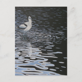 Carte Postale Ripples et un Avocet en contraste