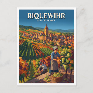 Carte Postale Riquewihr, Récolte du vignoble d'Alsace France