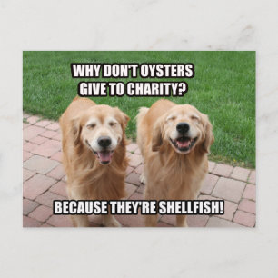 Carte Postale Rire Golden Retriever Funny Shellfish Plaisanterie