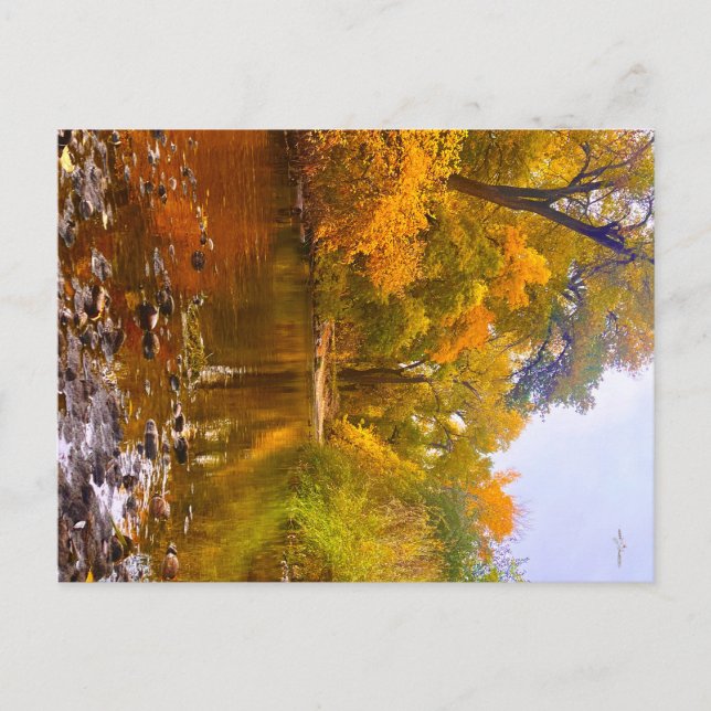 Carte Postale Rivage d'automne (Devant)