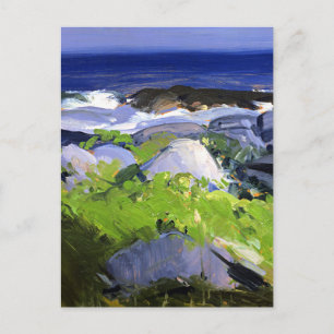 Carte Postale Rivage tapissé de vignes, île de Monhegan, Maine,