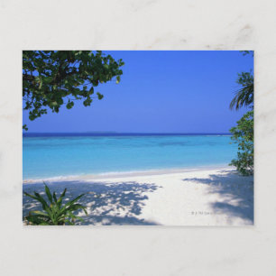 Carte Postale Rive 13