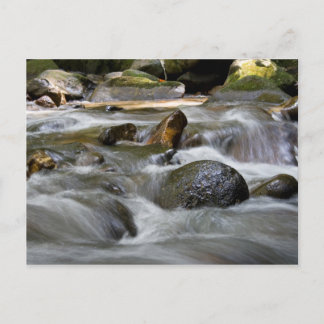 Carte Postale Rivière