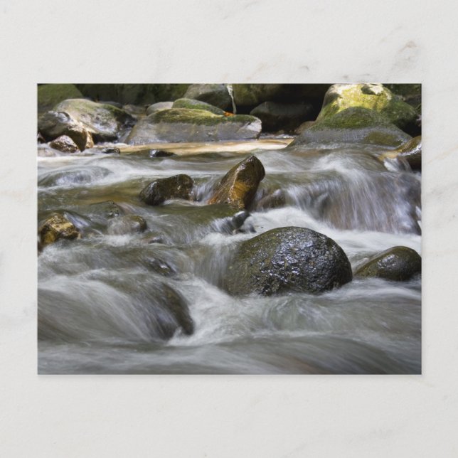 Carte Postale Rivière (Devant)