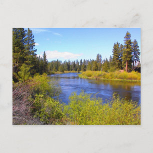 Carte Postale Rivière