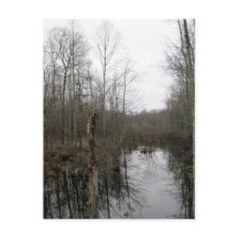 Rivière à travers le désert