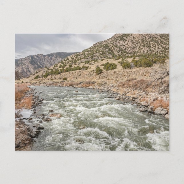 Carte Postale Rivière Arkansas dans le Colorado (Devant)