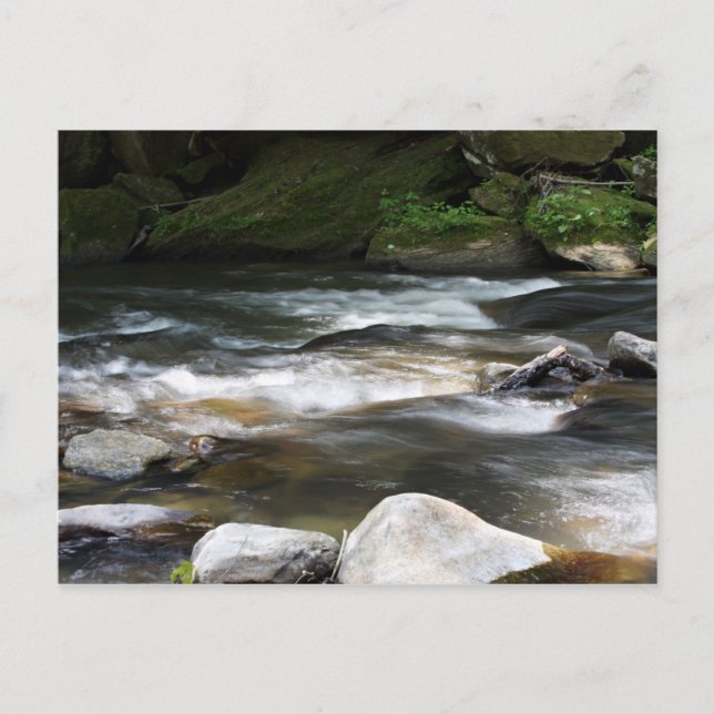 Carte Postale Rivière Caroline du Nord (Devant)