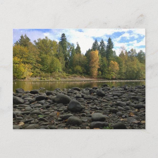 Carte Postale Rivière Clackamas, Oregon (Devant)