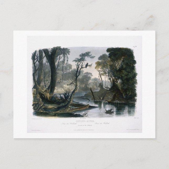 Carte Postale Rivière Cutoff, Branche du Wabash, plaque 8 de V (Devant)
