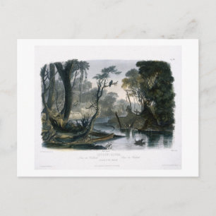 Carte Postale Rivière Cutoff, Branche du Wabash, plaque 8 de V