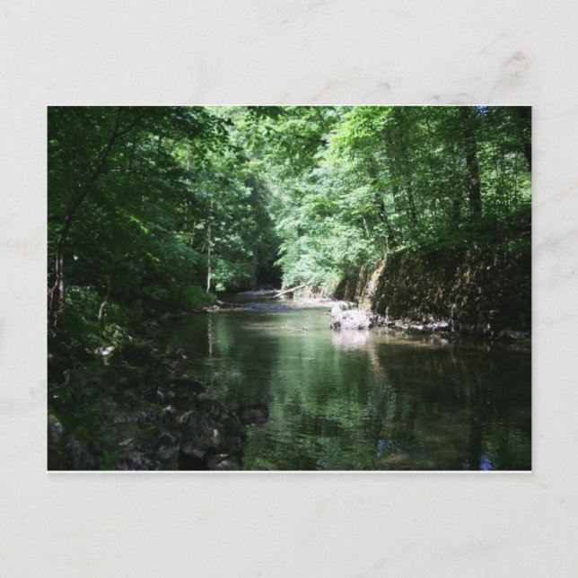 Carte Postale rivière dans la croatie forestière (Devant)
