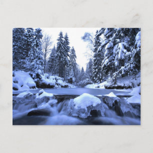 Carte Postale Rivière de montagne d'hiver - Montagnes Beskid, Po