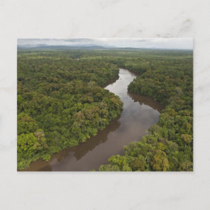 Carte Postale Rivière Essequibo, rivière la plus longue du Guyan