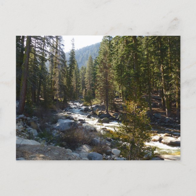 Carte Postale Rivière Kaweah dans le parc national de Sequoia (Devant)