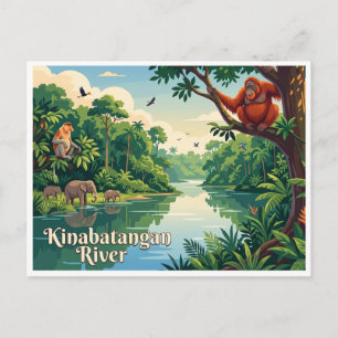Carte Postale Rivière Kinabatangan Sandakan Malaisie