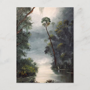 Carte Postale Rivière la Floride de Tomoka