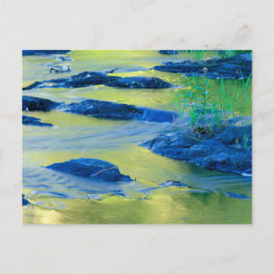 Carte Postale Rivière Lamprey   New Hampshire