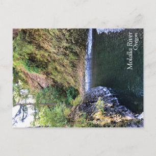Carte Postale Rivière Molalla, OR