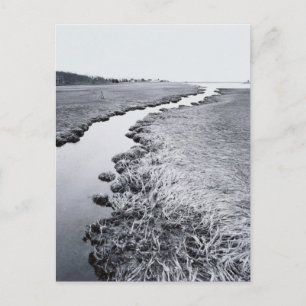 Carte Postale Rivière près de la forêt 2