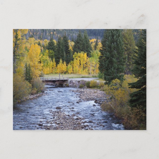Carte Postale Rivière Provo et trembles (Devant)