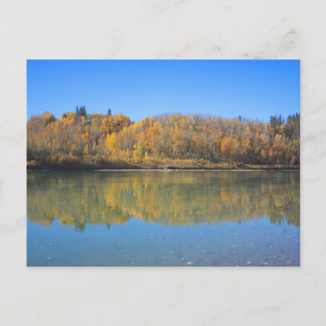 Carte Postale Rivière Saskatchewan Nord - Automne (Devant)