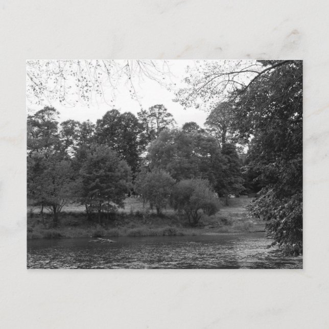 Carte Postale Rivière Taff à Bute Park, Cardiff - BW (Devant)