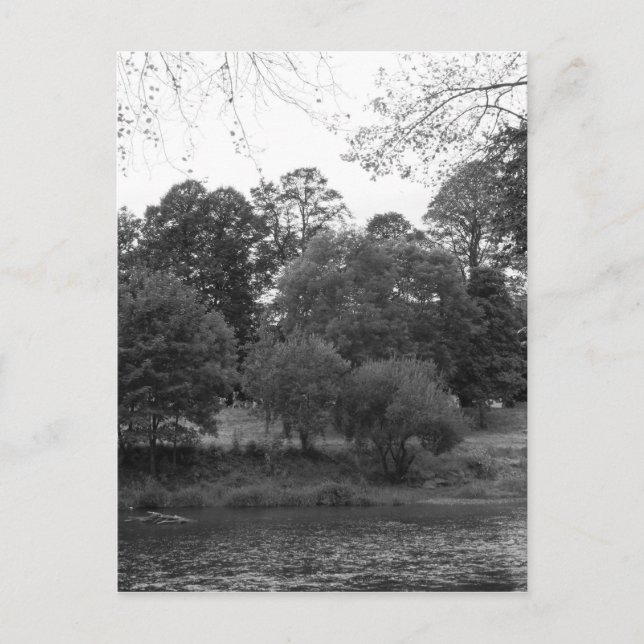 Carte Postale Rivière Taff à Bute Park, Cardiff - NB (Devant)