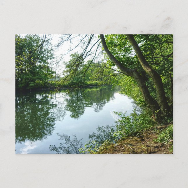 Carte Postale Rivière Taff, Cardiff, Pays de Galles. (Devant)