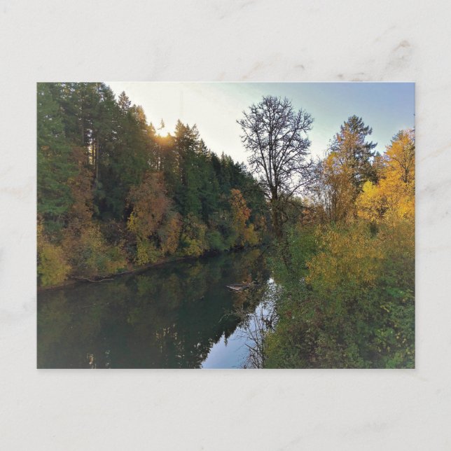 Carte Postale Rivière Tualatin, Oregon (Devant)