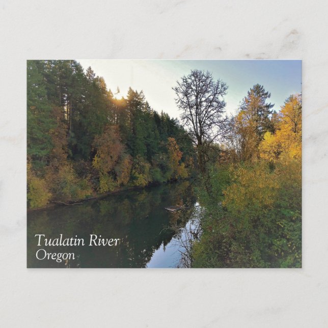 Carte Postale Rivière Tualatin, Oregon (Devant)
