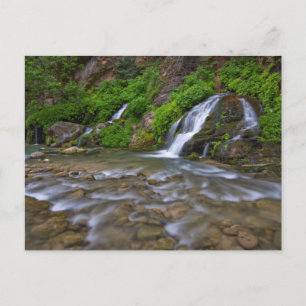 Carte Postale Rivière Vierge Big Springs   Parc national de Zion