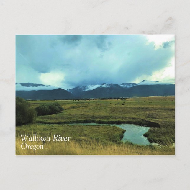 Carte Postale Rivière Wallowa, Oregon (Devant)