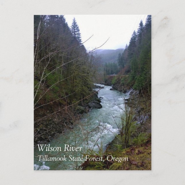 Carte Postale Rivière Wilson, OU (Devant)