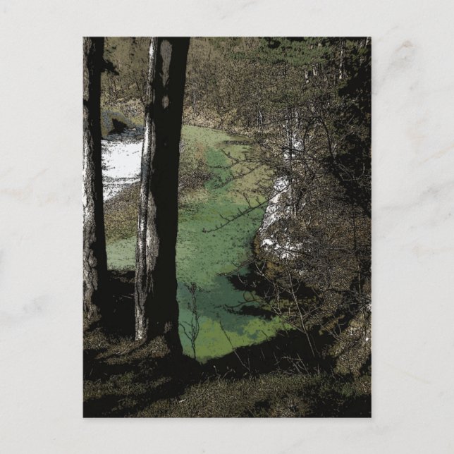 Carte Postale Rivière Winding (Devant)